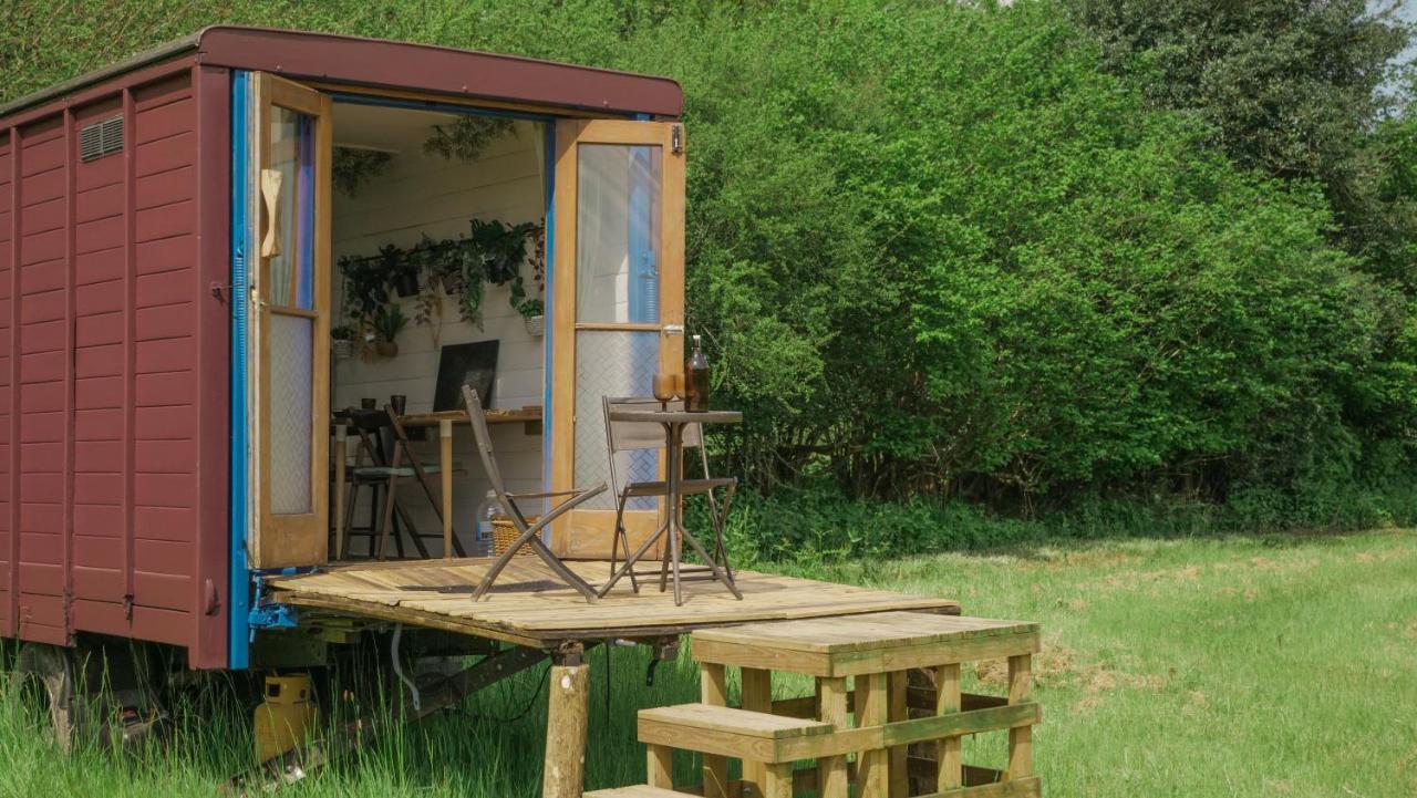 Quirky Vintage Horsebox Conversion With Stunning Views Of Ardingly Reservoir Balcombe Bagian luar foto